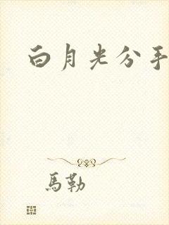 白月光分手日常