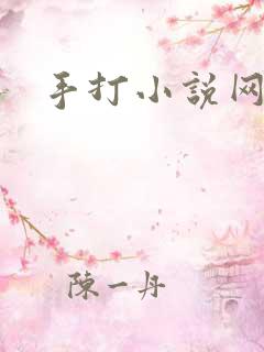 手打小说网