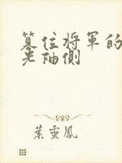 篡位将军的白月光袖侧