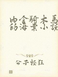 内含骑木马情节的海棠小说男主