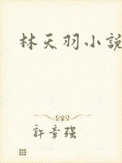 林天羽小说