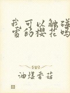 我可以触碰你深处的樱花吗