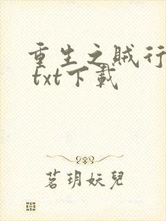 重生之贼行天下 txt下载