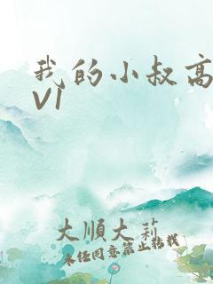 我的小叔高H1V1