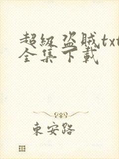 超级盗贼txt全集下载