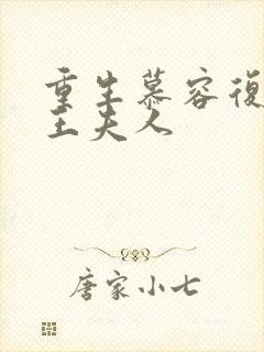 重生慕容复之弄王夫人