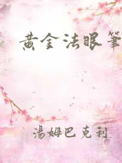 黄金法眼笔趣阁