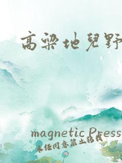 高粱地儿野炕头