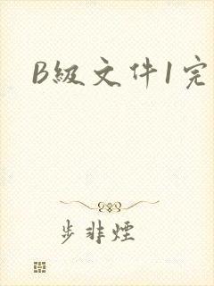 B级文件1完整