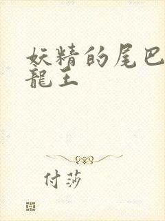 妖精的尾巴之幻龙王