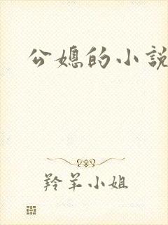 公媳的小说