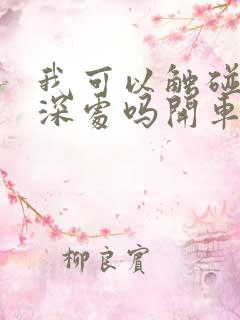 我可以触碰你的深处吗开车作文