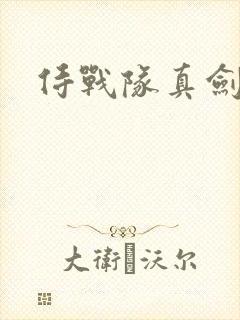 侍战队真剑者2