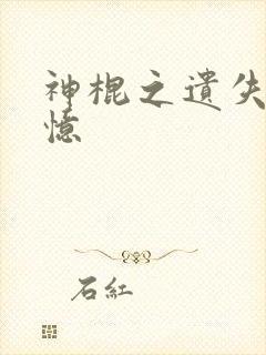 神棍之遗失的记忆