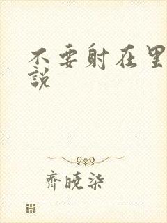 不要射在里面小说