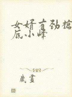 女婿有劲枪枪到底小峰