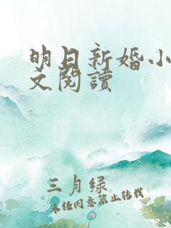 明日新婚小说全文阅读