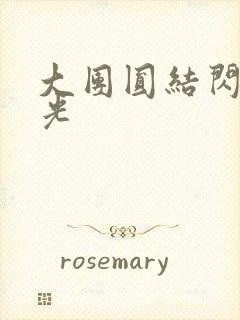 大团圆结闪闪发光