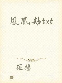 凤凰劫txt