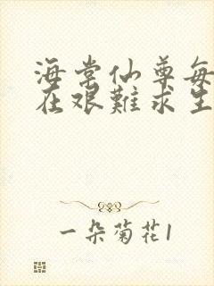 海棠仙尊每天都在艰难求生