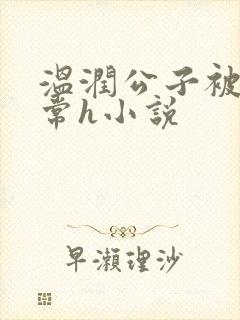 温润公子被脔日常h小说