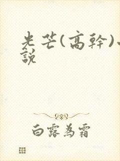 光芒(高干)小说