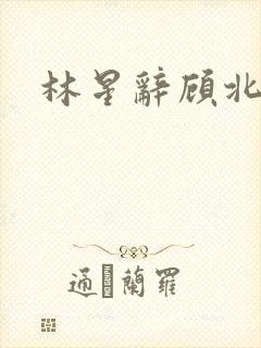 林星辞顾北彦
