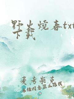 野火烧春txt下载