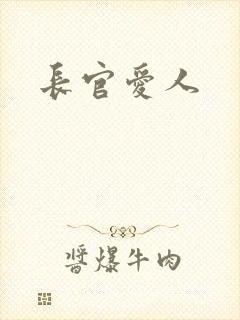 长官爱人