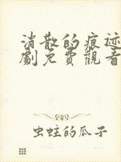 消散的痕迹电视剧免费观看完整版