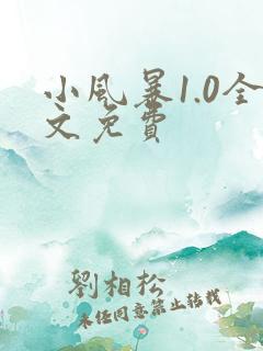 小风暴1.0全文免费