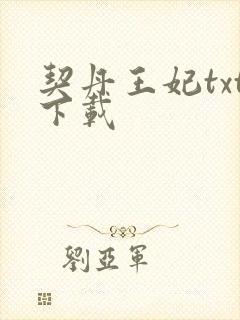 契丹王妃txt下载