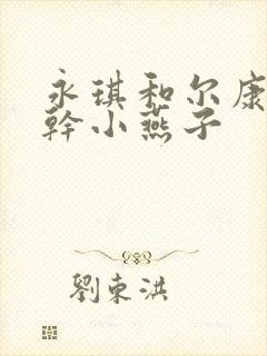 永琪和尔康一起干小燕子