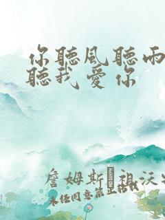 你听风听雨却不听我爱你