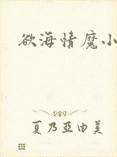 欲海情魔小说