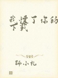 我怀了你的孩子下载