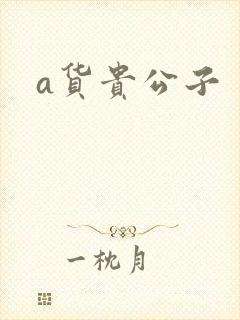 a货贵公子