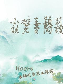 小雄王颖莉的小说免费阅读全文