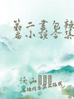 第二书包辣网短篇小说合集