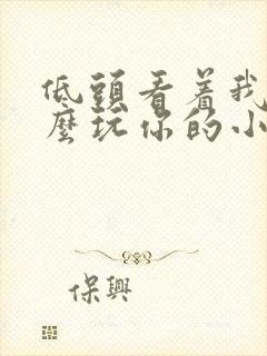 低头看着我是怎么玩你的小说