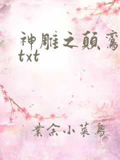 神雕之颠鸾倒凤txt
