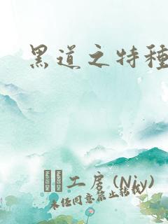 黑道之特种兵王