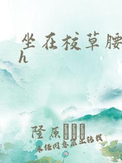 坐在校草腰上动h