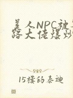 美人NPC被各路大佬爆炒小说