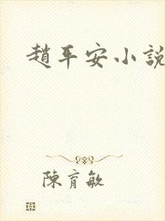 赵平安小说主角