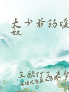 大少爷的暖床小奴