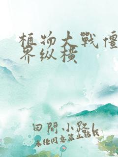 植物大战僵尸异界纵横