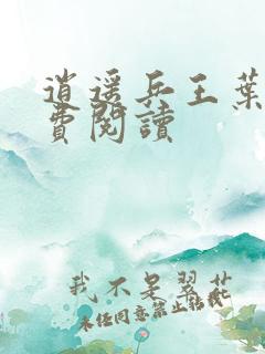 逍遥兵王叶成免费阅读