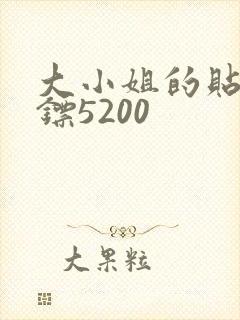 大小姐的贴身保镖5200