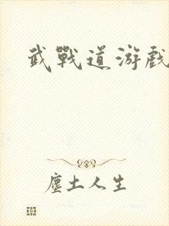 武战道游戏